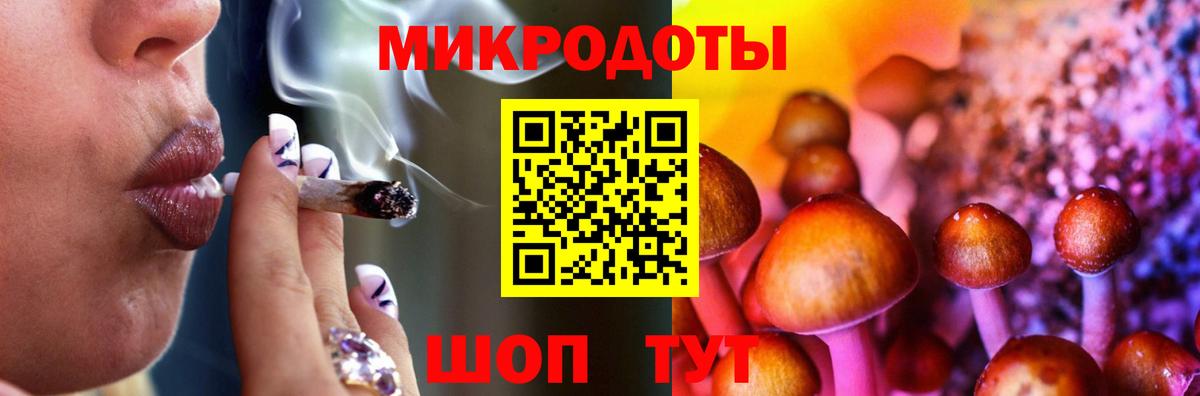 Псилоцибиновые грибы мухоморы Тимашёвск
